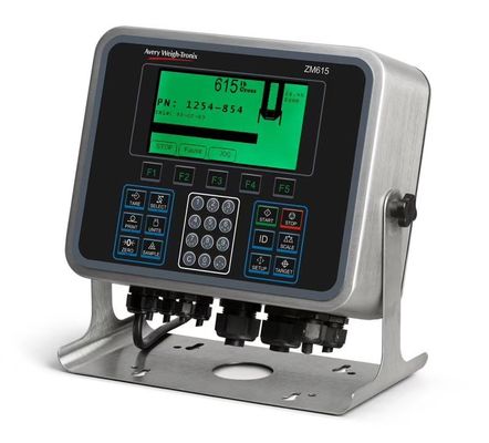 Băng ghế dự bị công nghiệp Avery Tronix Cân vảy I69K IP Lớp 30x40CM Nền tảng